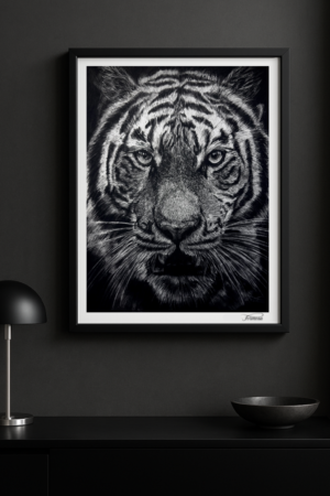 Apex Sovereign Studio Edition Prints